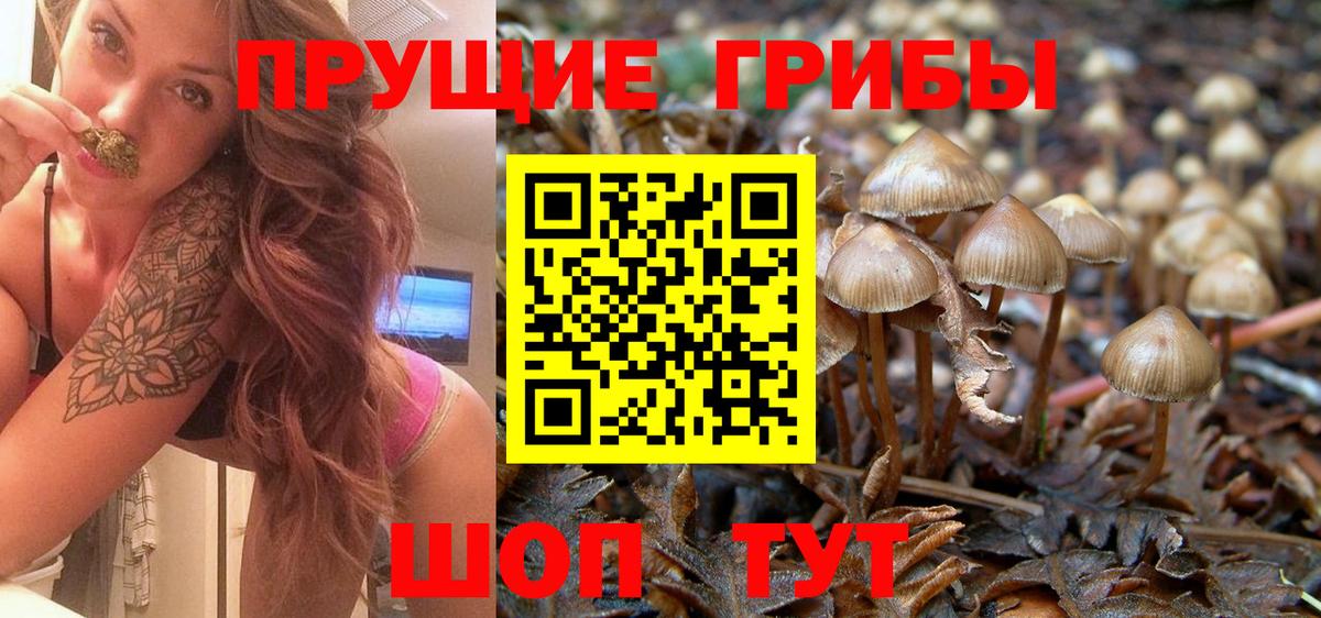 Галлюциногенные грибы MAGIC MUSHROOMS Печора